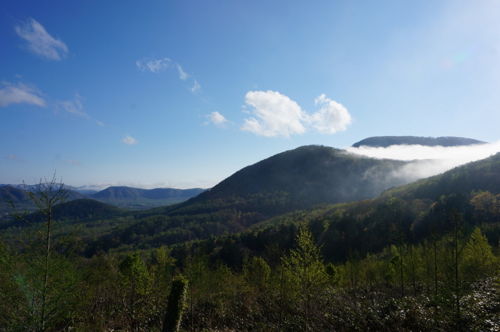 f:id:akarin-gogo775:20180514223904j:plain