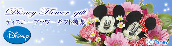 f:id:akaringo55:20180330130734j:plain