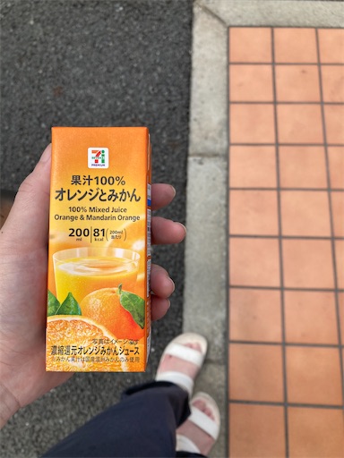 f:id:akaritori-atelier:20240619101054j:image