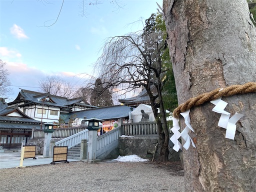 f:id:akaritori-atelier:20241229000220j:image
