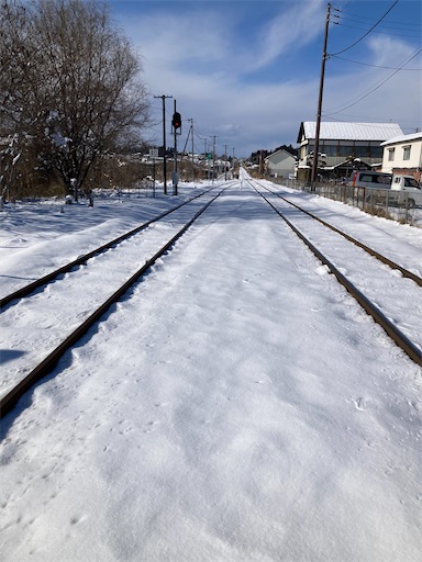 f:id:akaritori-atelier:20250210114232j:image