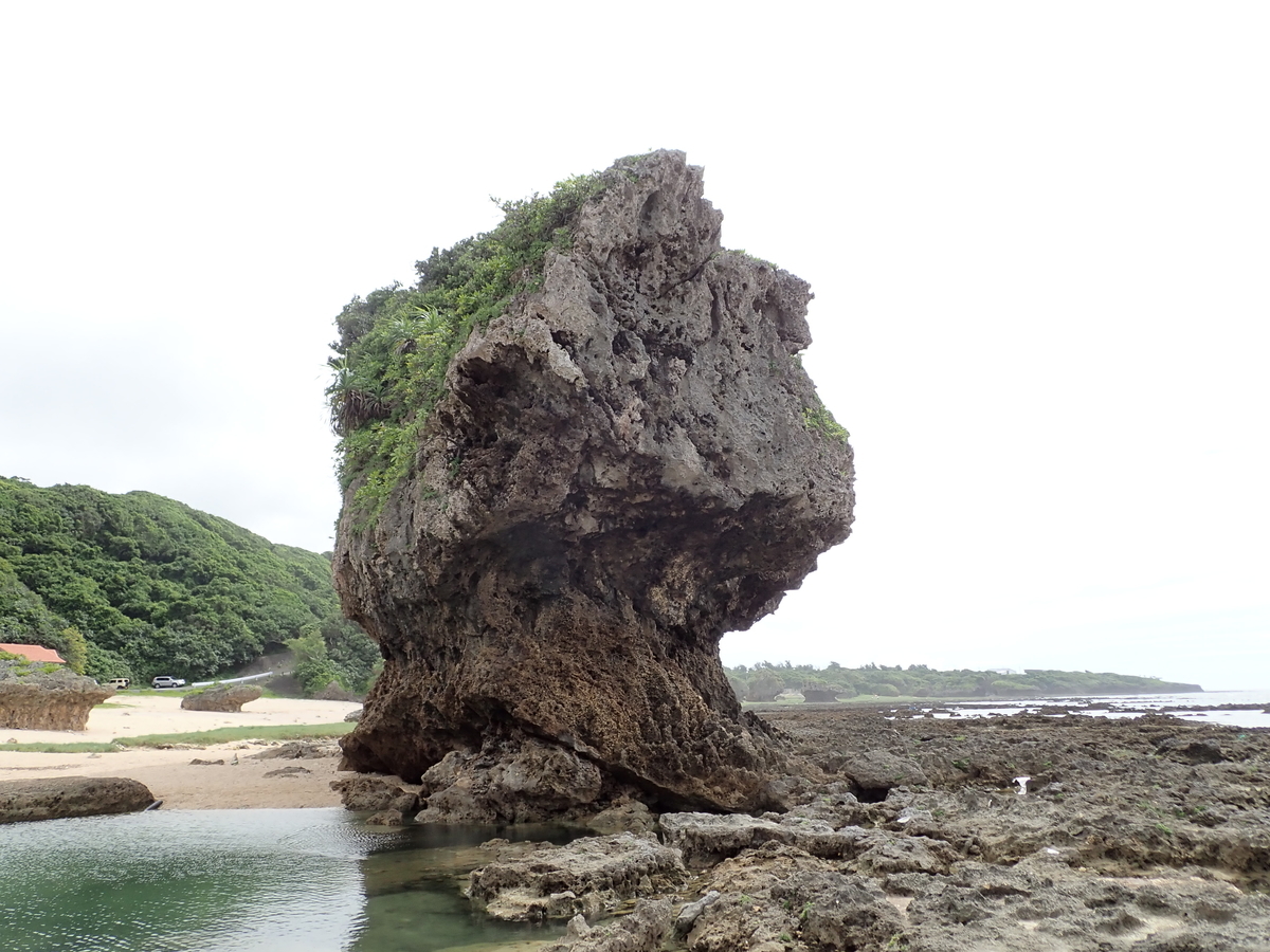 f:id:akaruiutu:20210708194424j:plain
