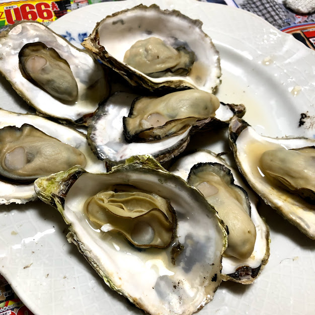 f:id:akasakaki:20190102152310j:plain f:id:akasakaki:20190102152310j:plain