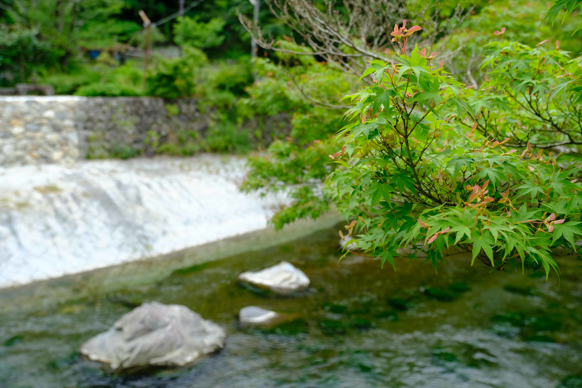 f:id:akasakaki:20210613210107j:plain