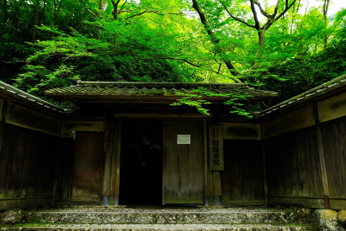 f:id:akasakaki:20210613210405j:plain
