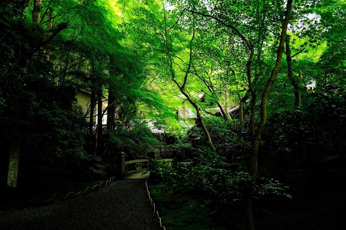 f:id:akasakaki:20210613213442j:plain
