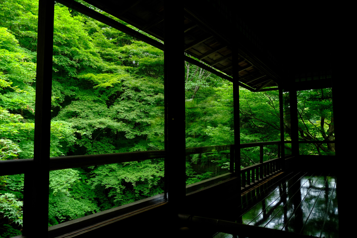f:id:akasakaki:20210615141152j:plain