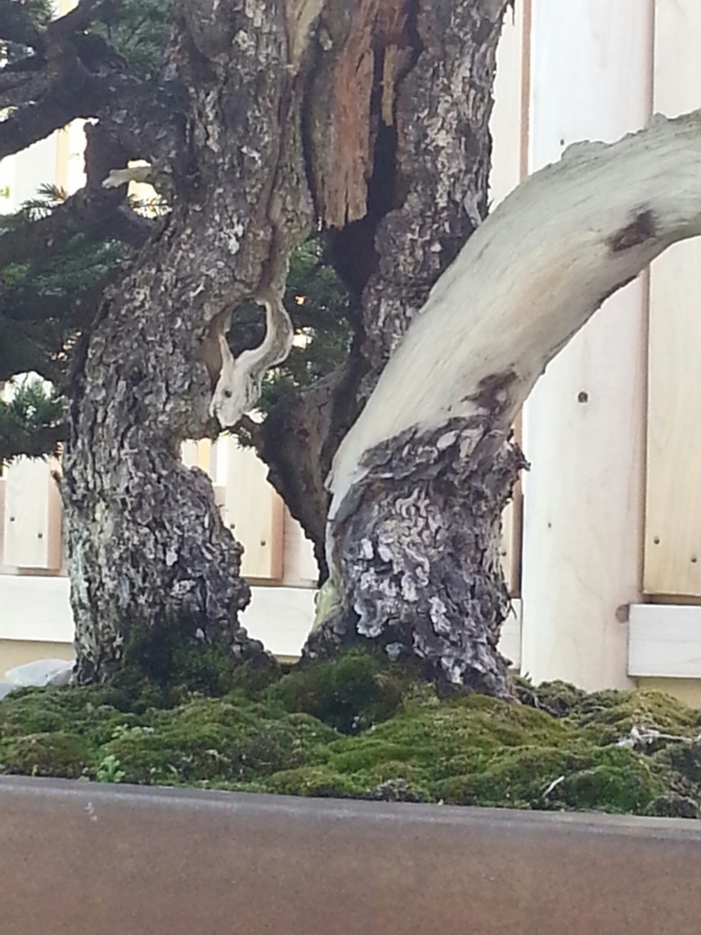 f:id:akashiaya:20171007232406j:plain