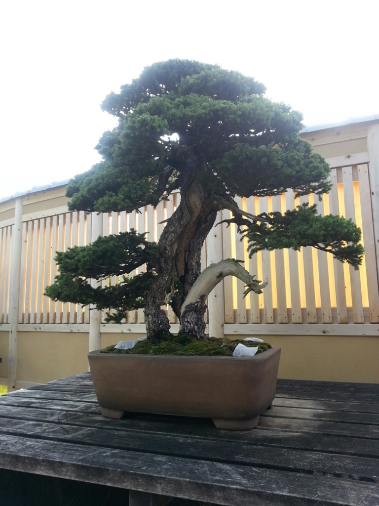 f:id:akashiaya:20171007232418j:plain