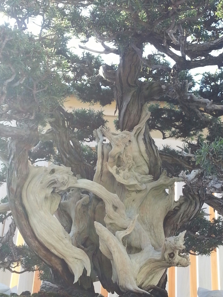 f:id:akashiaya:20171007232430j:plain