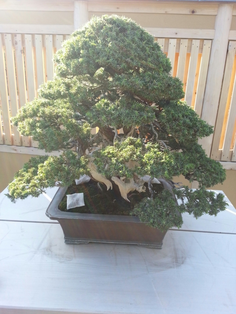 f:id:akashiaya:20171007232444j:plain