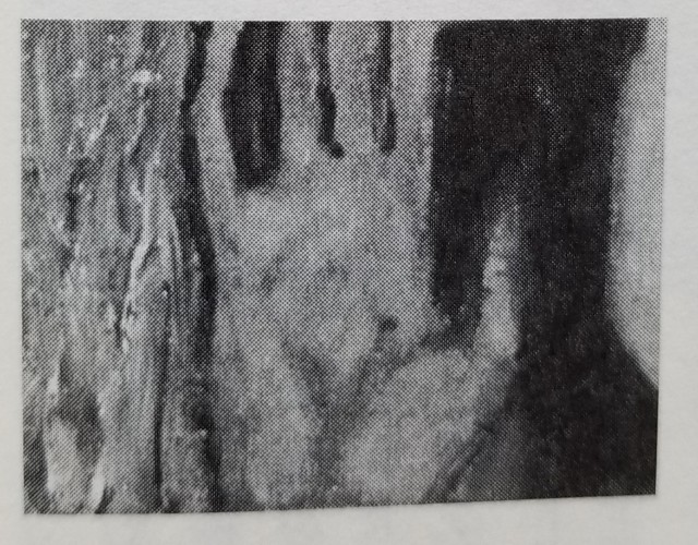 f:id:akashiaya:20180720173005j:image f:id:akashiaya:20180720173005j:image