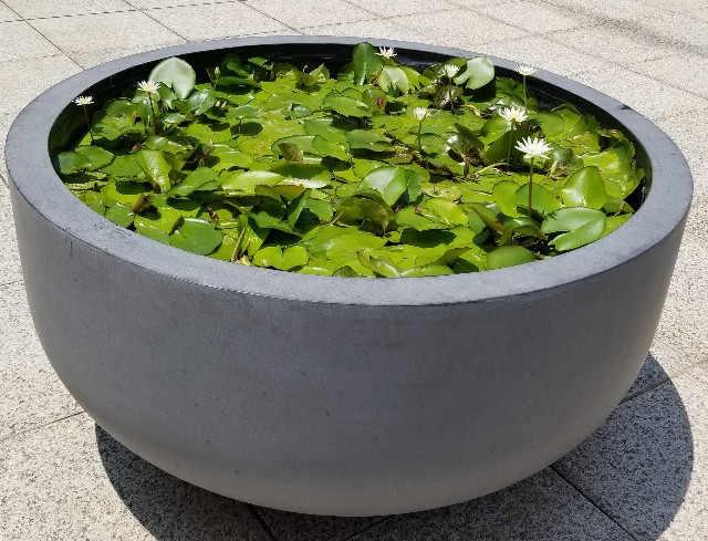 f:id:akashiaya:20180721121147j:image