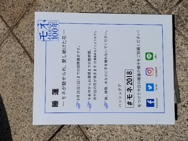 f:id:akashiaya:20180721121220j:image