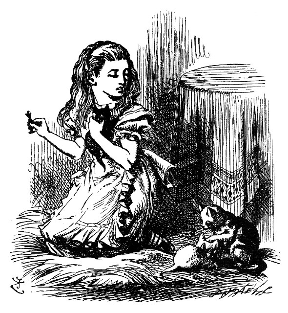 f:id:akashiaya:20180828214901j:image