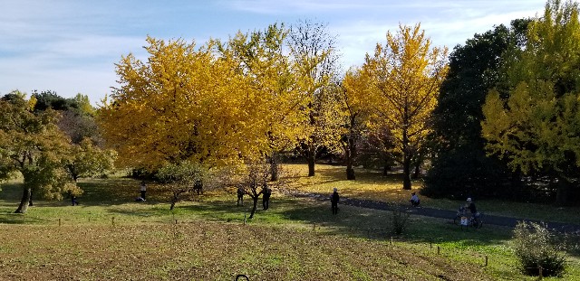 f:id:akashiaya:20181117131046j:image