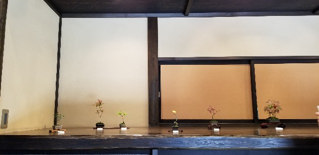 f:id:akashiaya:20181117221050j:image