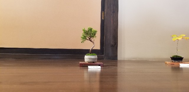 f:id:akashiaya:20181117221110j:image