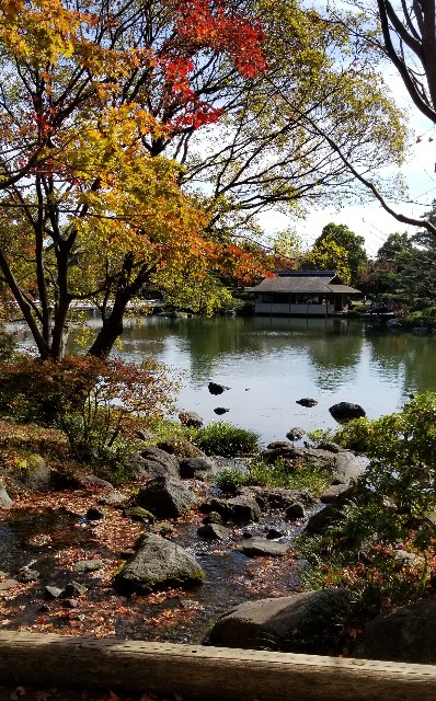 f:id:akashiaya:20181117221556j:image