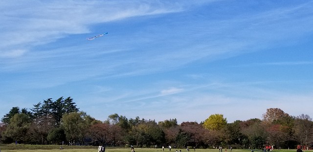 f:id:akashiaya:20181117221844j:image