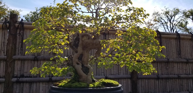 f:id:akashiaya:20181117222227j:image