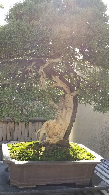 f:id:akashiaya:20181117222444j:image