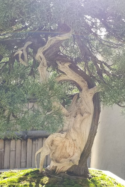 f:id:akashiaya:20181117222454j:image