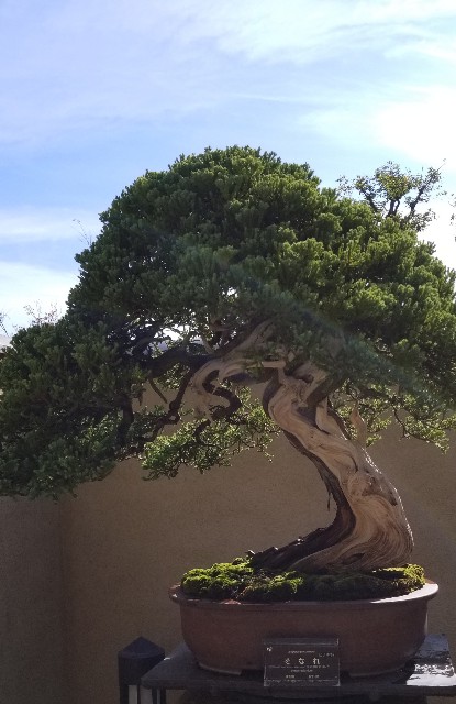 f:id:akashiaya:20181117222609j:image