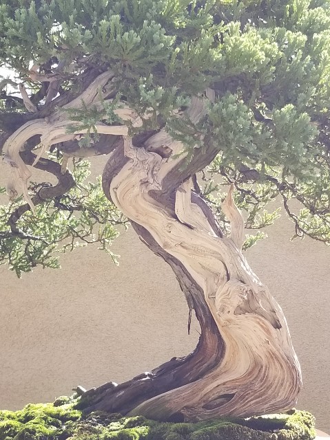 f:id:akashiaya:20181117222638j:image