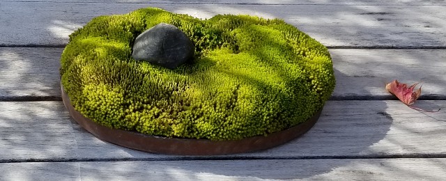 f:id:akashiaya:20181117223417j:image