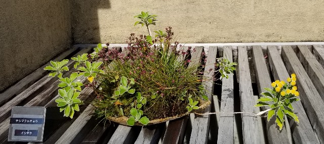 f:id:akashiaya:20181117223428j:image