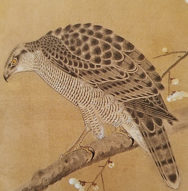 f:id:akashiaya:20190312100635j:image