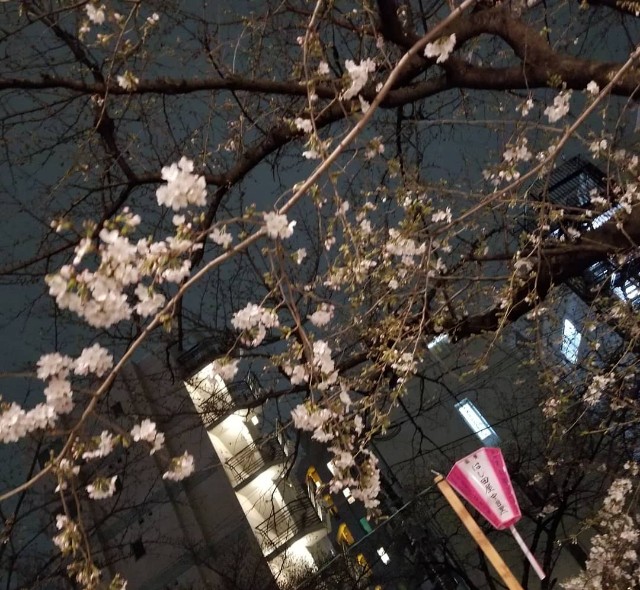 f:id:akashiaya:20190407082752j:image f:id:akashiaya:20190407082752j:image