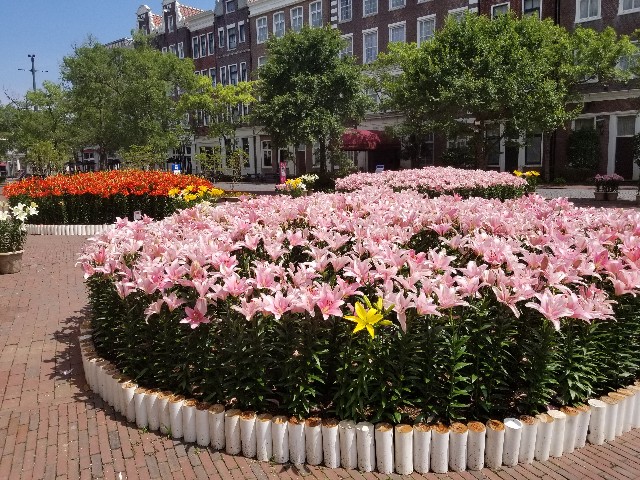 f:id:akashiaya:20190704225245j:image