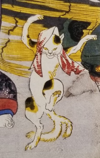 f:id:akashiaya:20190725214022j:image