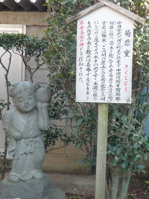 f:id:akashiaya:20190831210808j:image f:id:akashiaya:20190831210808j:image