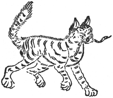 f:id:akashiaya:20191216161454j:plain