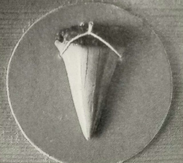 f:id:akashiaya:20191216201945j:image