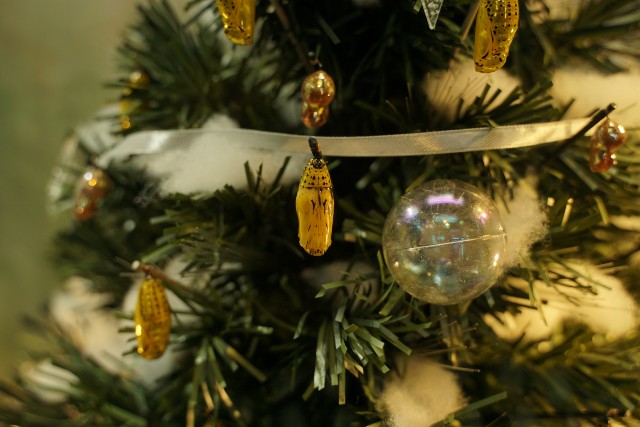 f:id:akashiaya:20191216202900j:image