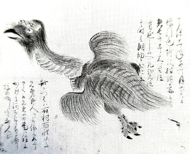 河童目撃談集ー羽が生えてる奴や甲羅無い奴もいたらしいー - リアル 