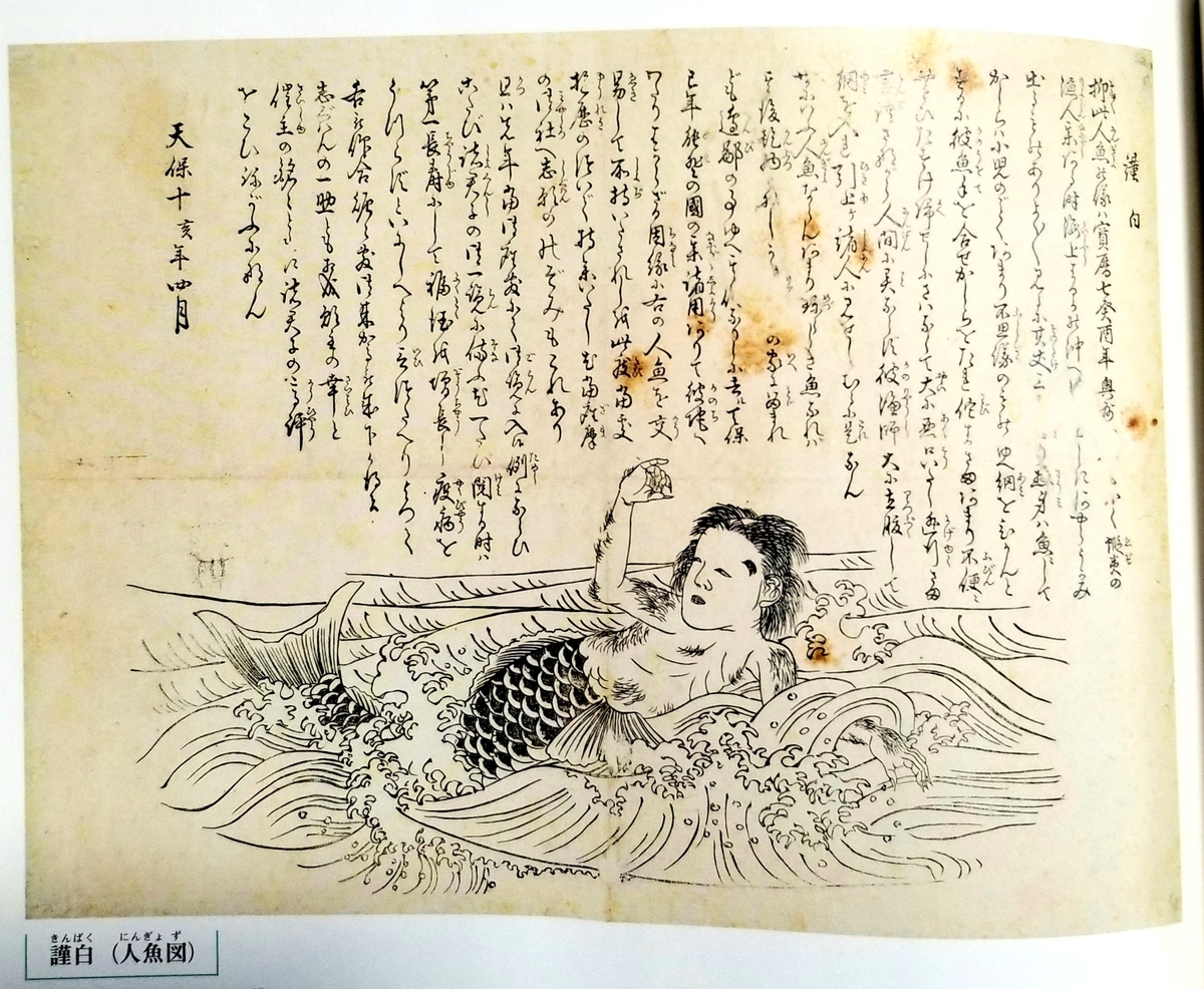 f:id:akashiaya:20200226162807j:plain