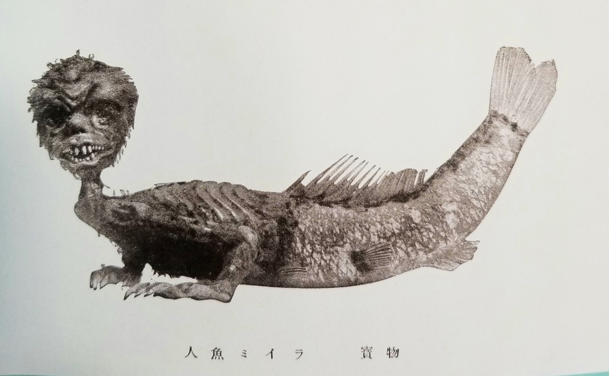 人魚雑談ー東西人魚と人魚のミイラー リアル絵描き日記