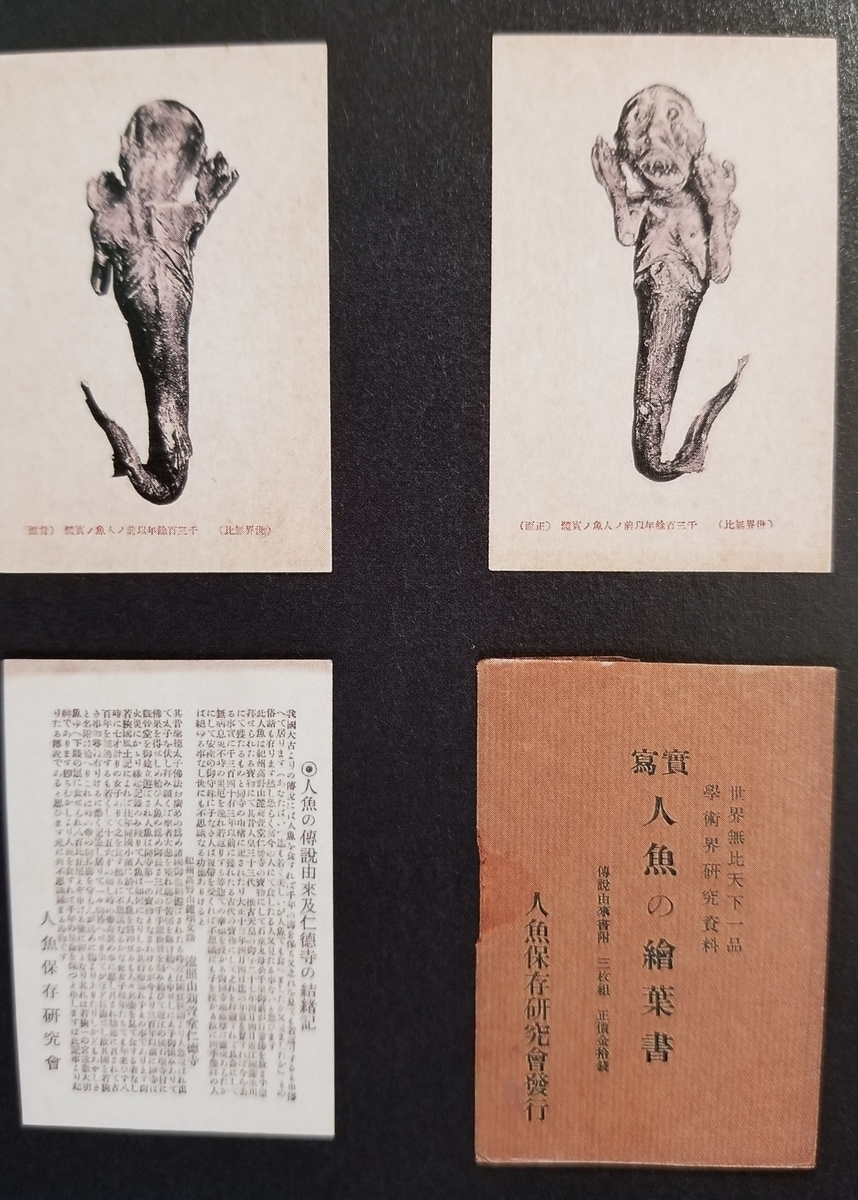 f:id:akashiaya:20200226162901j:plain