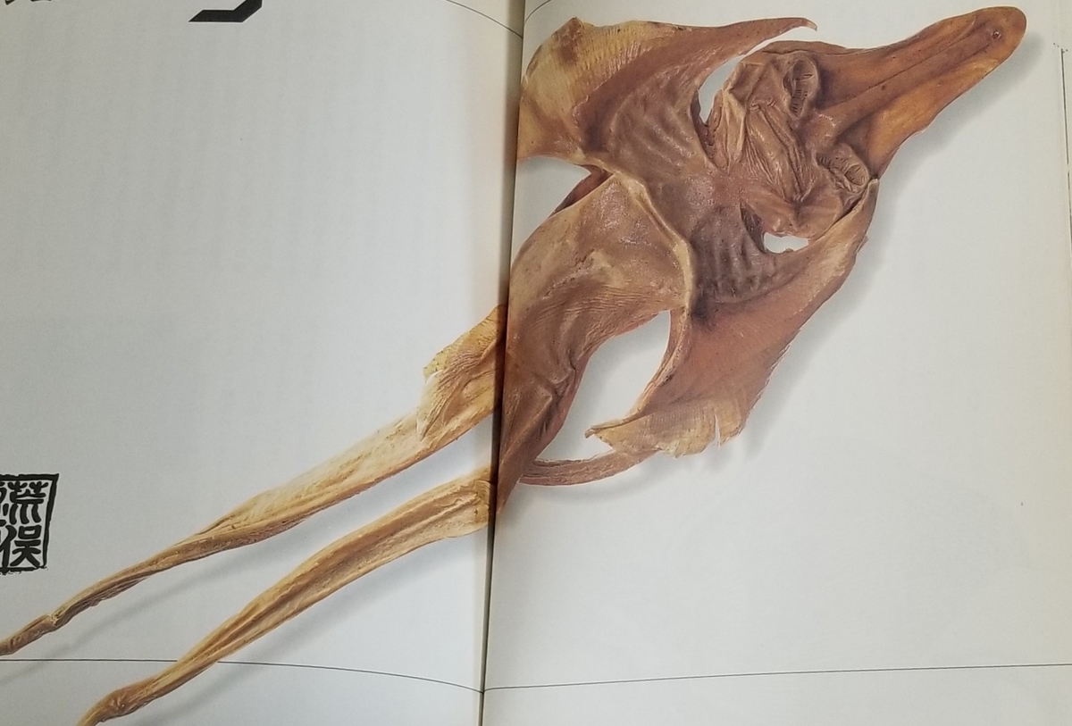 f:id:akashiaya:20200802181404j:plain f:id:akashiaya:20200802181404j:plain