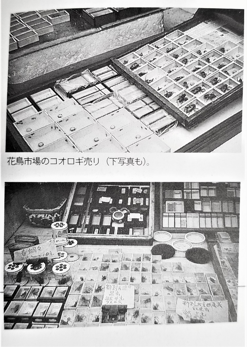 f:id:akashiaya:20200802181602j:plain f:id:akashiaya:20200802181602j:plain