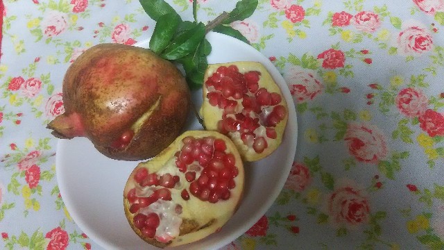 f:id:akasirox:20200914141700j:image