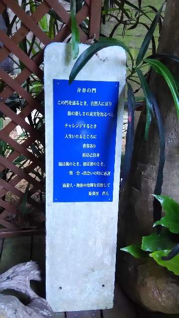 f:id:akasirox:20200918201648j:image