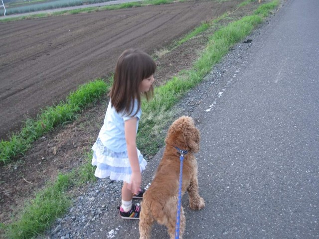 f:id:akasirox:20200920050550j:image