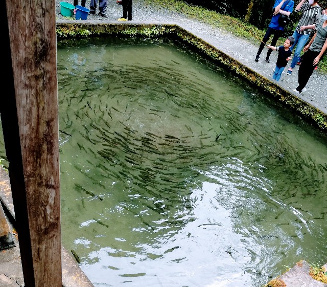 f:id:akasirox:20200921193026j:image