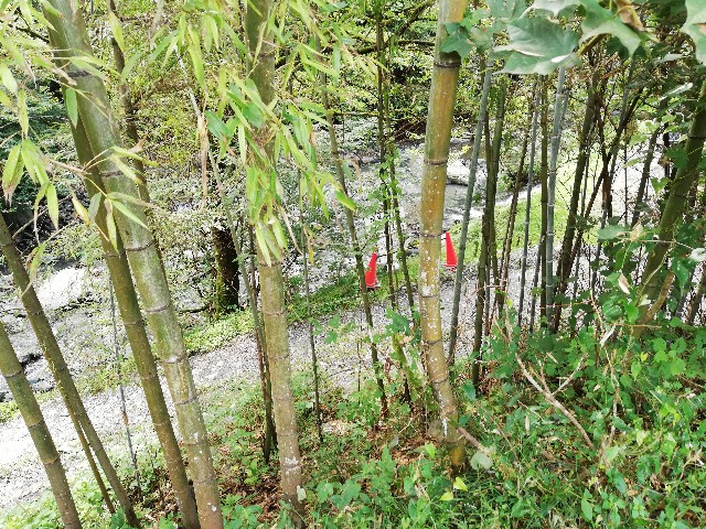 f:id:akasirox:20200921200423j:image